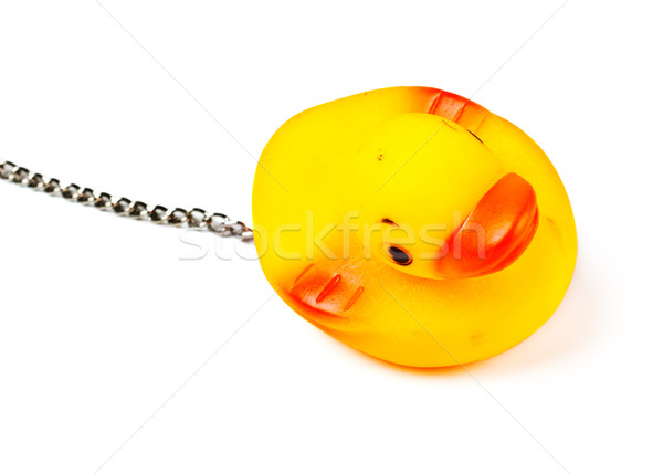 toy duck for bath Stock photo © PetrMalyshev