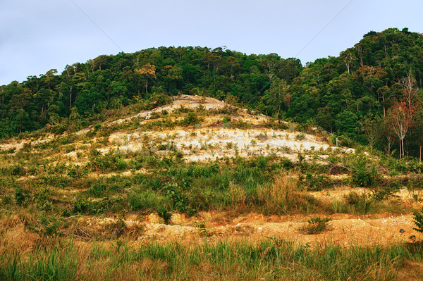 Stok fotoğraf: Taylandlı · orman · krabi · Asya · Tayland