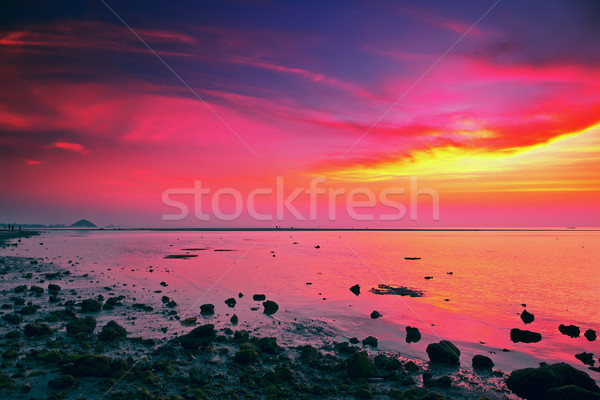 Belle coucher du soleil mer calme eau soleil [[stock_photo]] © PetrMalyshev