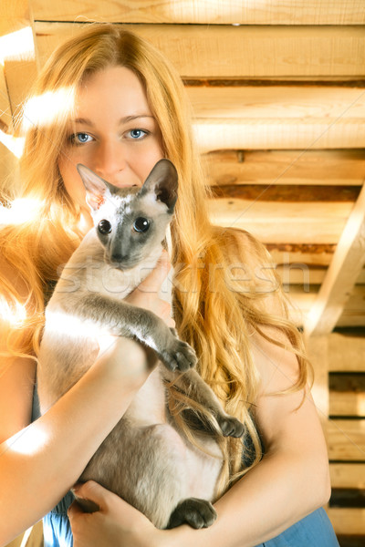 Dziewczyna kot piękna dziewczyna lata dzień kobiet Zdjęcia stock © PetrMalyshev