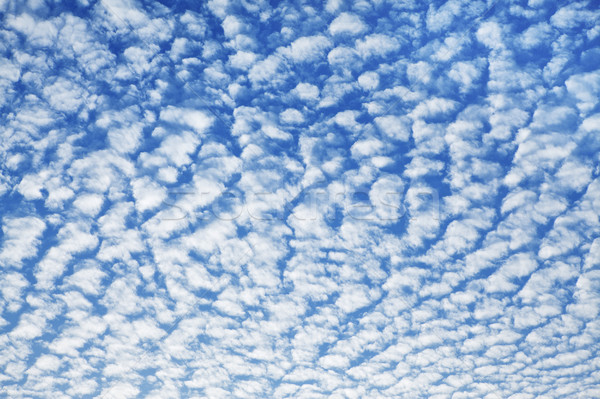Felhőkép felhők napos idő természet tájkép kék Stock fotó © PetrMalyshev