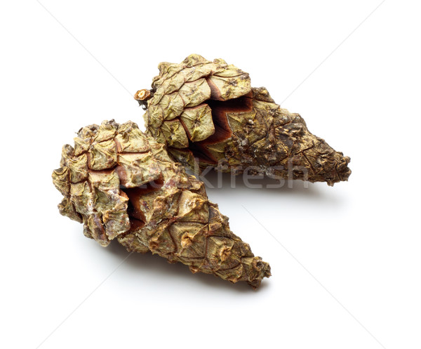 pinecones Stock photo © PetrMalyshev