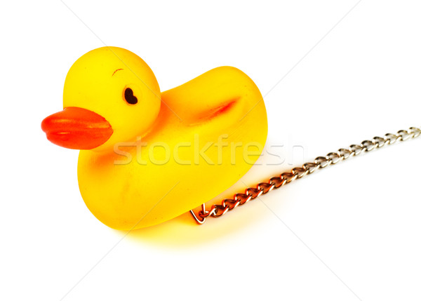 toy duck for bath Stock photo © PetrMalyshev
