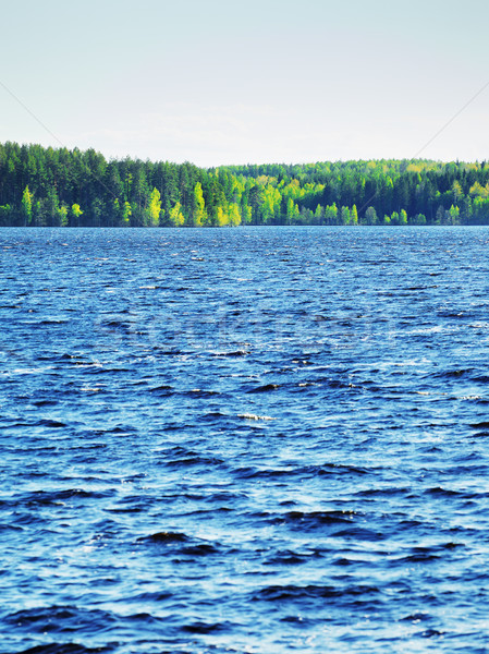 stockfresh.com/gallery/petrmalyshev stockfresh.