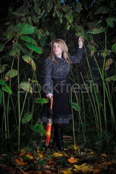 girl walk in enchanted forest Stock photo © PetrMalyshev