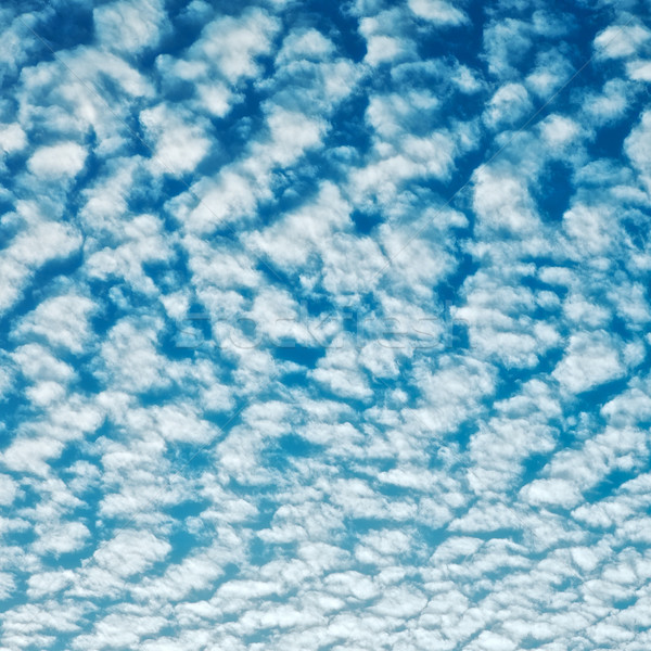 Felhőkép felhők napos idő természet tájkép kék Stock fotó © PetrMalyshev