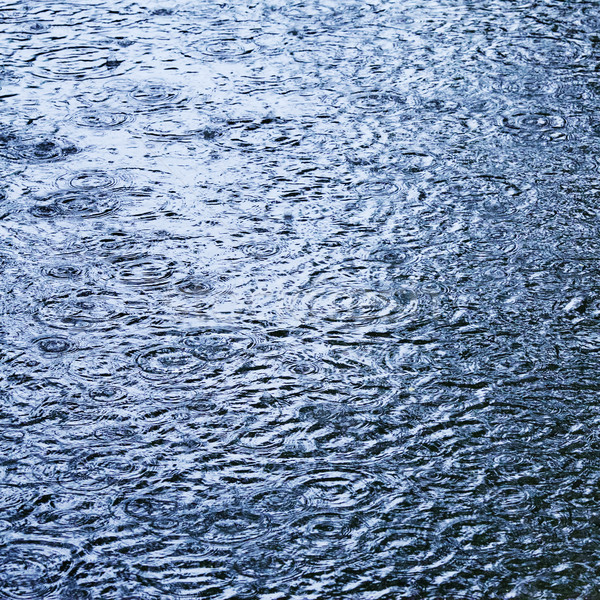 Regendruppels water sterke achtergrond regen winter Stockfoto © PetrMalyshev
