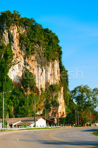 Autostrada Thailandia asfalto giungla krabi cielo Foto d'archivio © PetrMalyshev