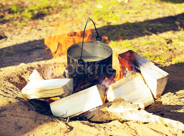Melonik kocioł ognisko lasu Zdjęcia stock © PetrMalyshev