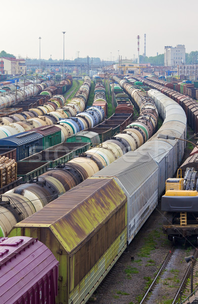 Bahnhof Fracht Züge Feld städtischen Industrie Stock foto © PetrMalyshev