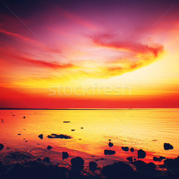 Belle coucher du soleil mer calme eau soleil [[stock_photo]] © PetrMalyshev