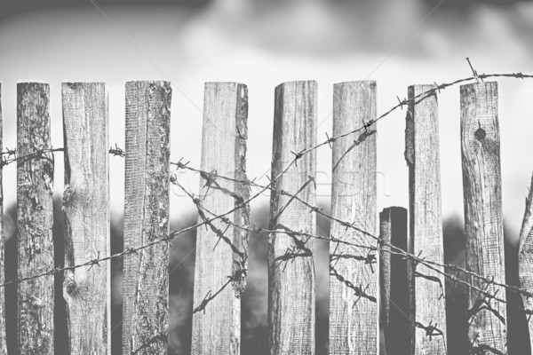 Fence With Barbed Wire Stock photo © PetrMalyshev
