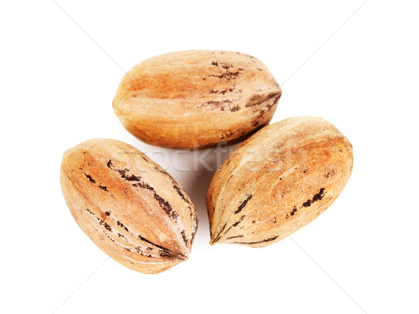 Pecan Nuts In A Shell Stock photo © PetrMalyshev