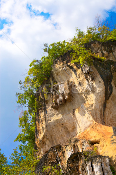 тайский гор зеленый деревья Краби Таиланд Сток-фото © PetrMalyshev