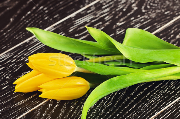 Yellow Tulip Flowers Stock photo © PetrMalyshev