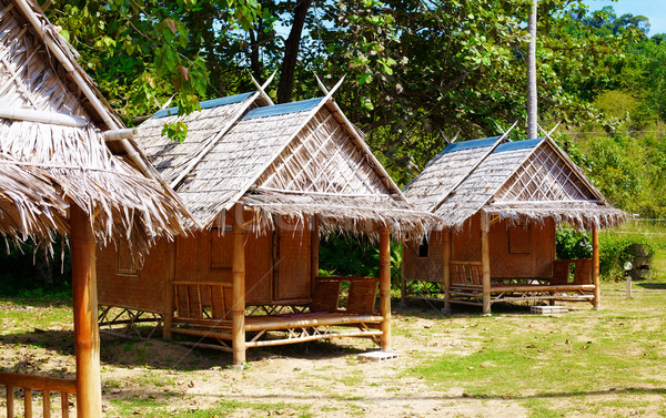 Tropicales Resort bungalow jungle arbre forêt [[stock_photo]] © PetrMalyshev