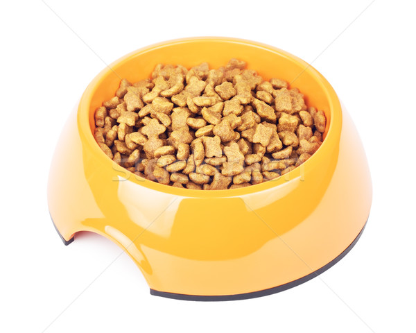 Dry Cat Food In Orange Bowl Stock photo © PetrMalyshev