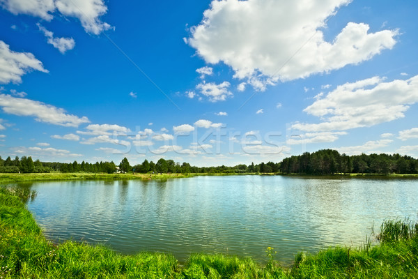 Vară peisaj lac pădure soare Imagine de stoc © PetrMalyshev