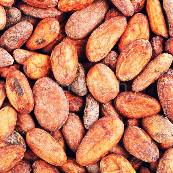 Raw Cacao Beans Background Stock photo © PetrMalyshev