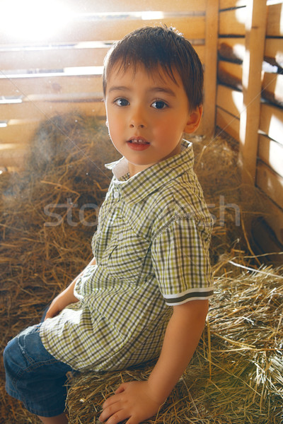 Boy on Hayloft Stock photo © PetrMalyshev