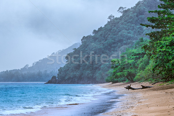 Rain on the Beach Stock photo © PetrMalyshev