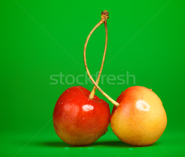 Fraîches cerises rose 	
tige vert fruits [[stock_photo]] © PetrMalyshev