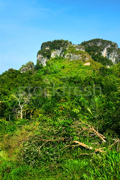 Thai hegyek zöld fák Krabi Thaiföld Stock fotó © PetrMalyshev