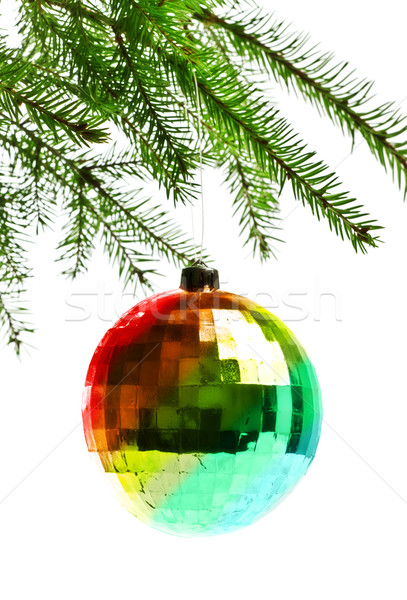 Stock photo: decoration ball on fir branch