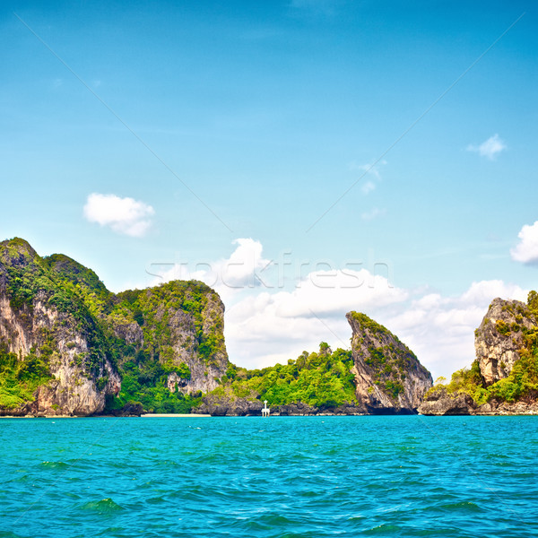 Morza wysoki Urwisko drzew Tajlandia Zdjęcia stock © PetrMalyshev
