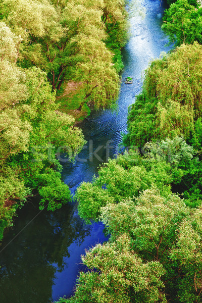 Pădure râu foios vară zi Imagine de stoc © PetrMalyshev