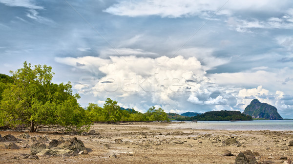 Tropical Beach Stock photo © PetrMalyshev