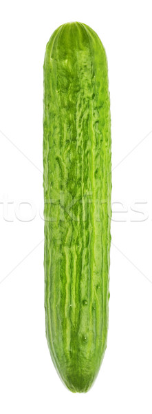 Long Fresh Cucumber  Stock photo © PetrMalyshev