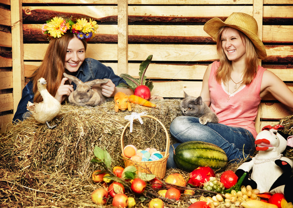 ストックフォト: 収穫 · ホーム · 2 · 少女 · ウサギ · 猫