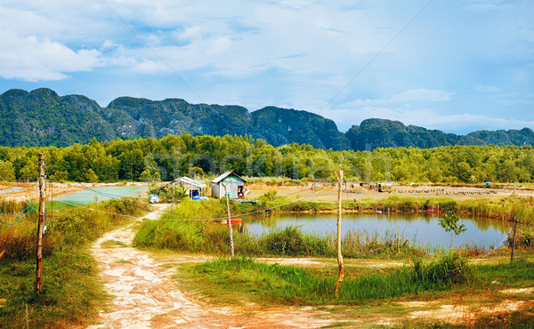 Thai Landscape Stock photo © PetrMalyshev