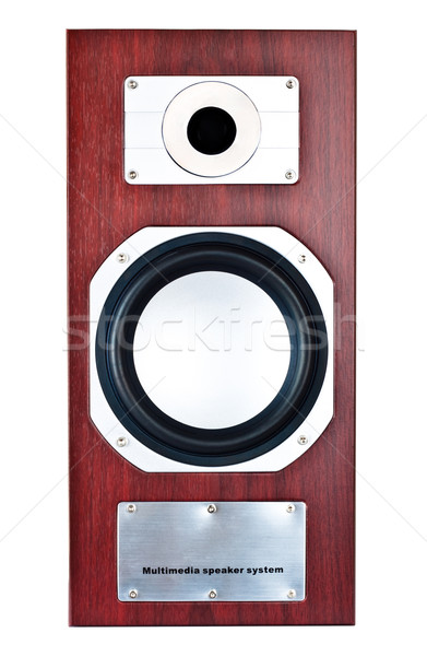 brown speaker system front Stock photo © PetrMalyshev