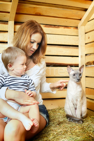 Moeder baby kat grappig familie meisje Stockfoto © PetrMalyshev