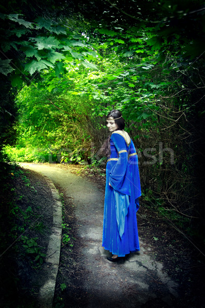 princess walk through darkest forest Stock photo © PetrMalyshev
