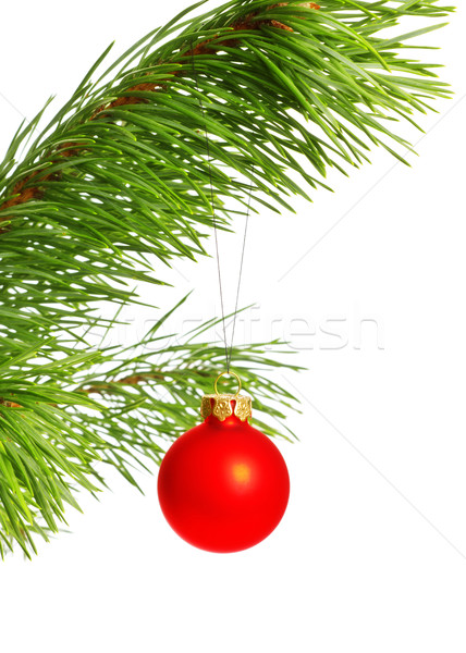 Stockfoto: Decoratie · bal · pine · tak · witte · boom