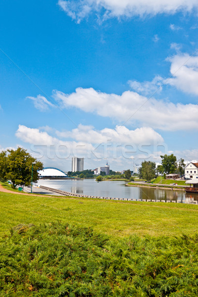 Sommer Himmel Gras Bäume Bereich grünen Stock foto © PetrMalyshev