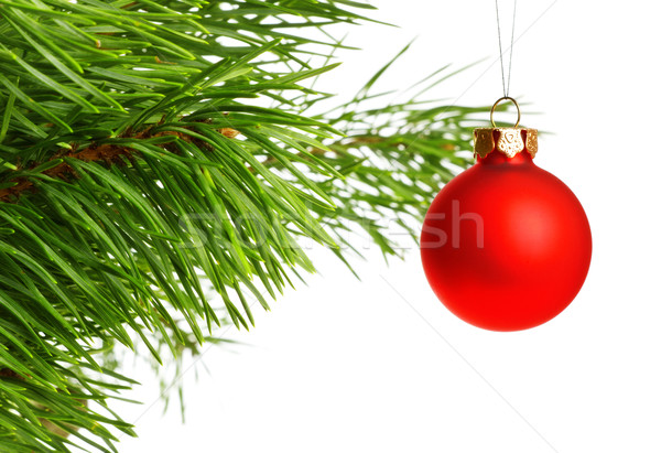 Stock photo: red decoration ball on pine branch