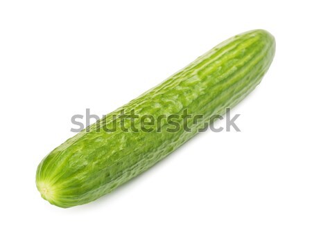 Long Fresh Cucumber  Stock photo © PetrMalyshev