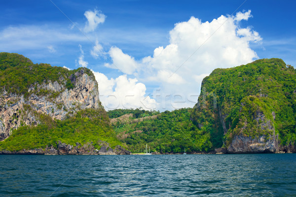 Mer falaise arbres Thaïlande [[stock_photo]] © PetrMalyshev