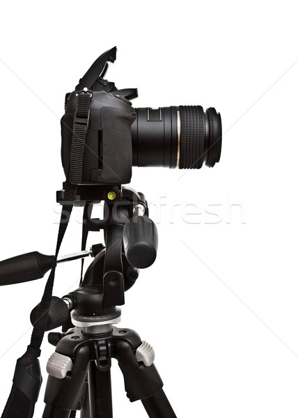 dslr camera on tripod Stock photo © PetrMalyshev