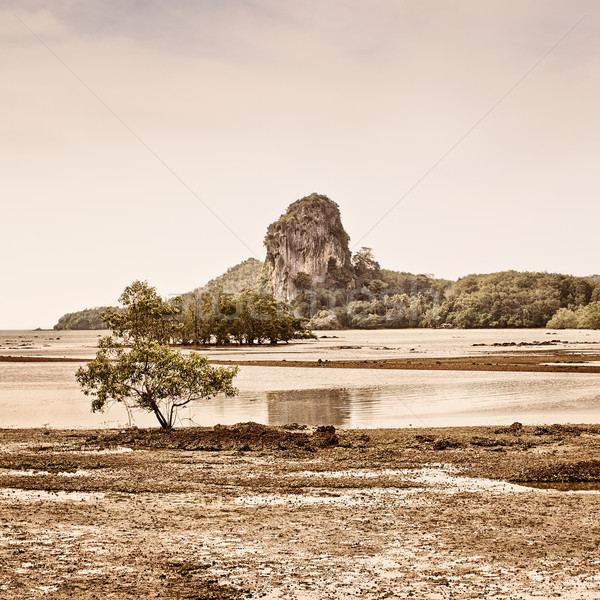 Thai Landscape Stock photo © PetrMalyshev