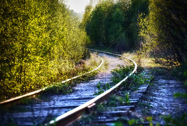 Narrow Gauge Stock photo © PetrMalyshev