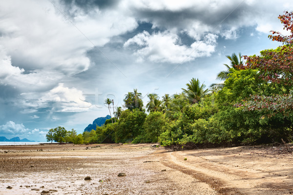 Tropical Beach Stock photo © PetrMalyshev