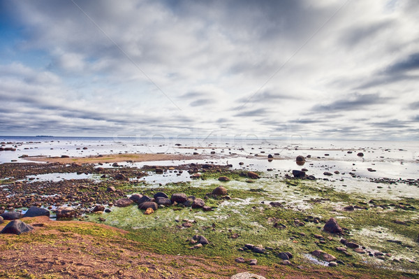 Laag getij zee dramatisch bewolkt dag Stockfoto © PetrMalyshev