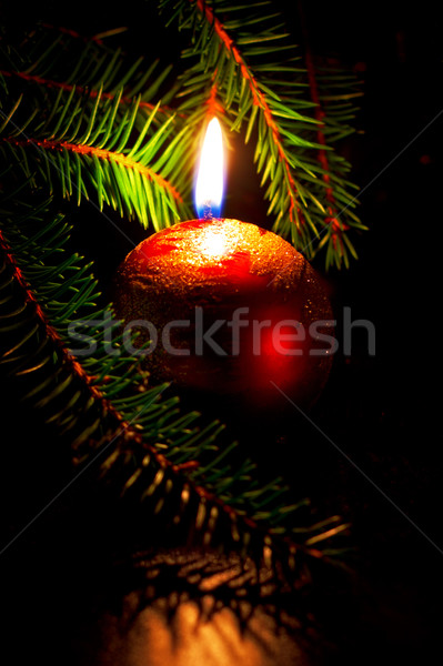 Bougie sapin amour rouge [[stock_photo]] © PetrMalyshev