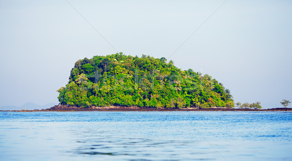 морем острове высокий деревья Таиланд небе Сток-фото © PetrMalyshev