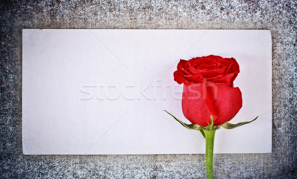 Rose Red lettre congelés toile enveloppe modèle Photo stock © PetrMalyshev